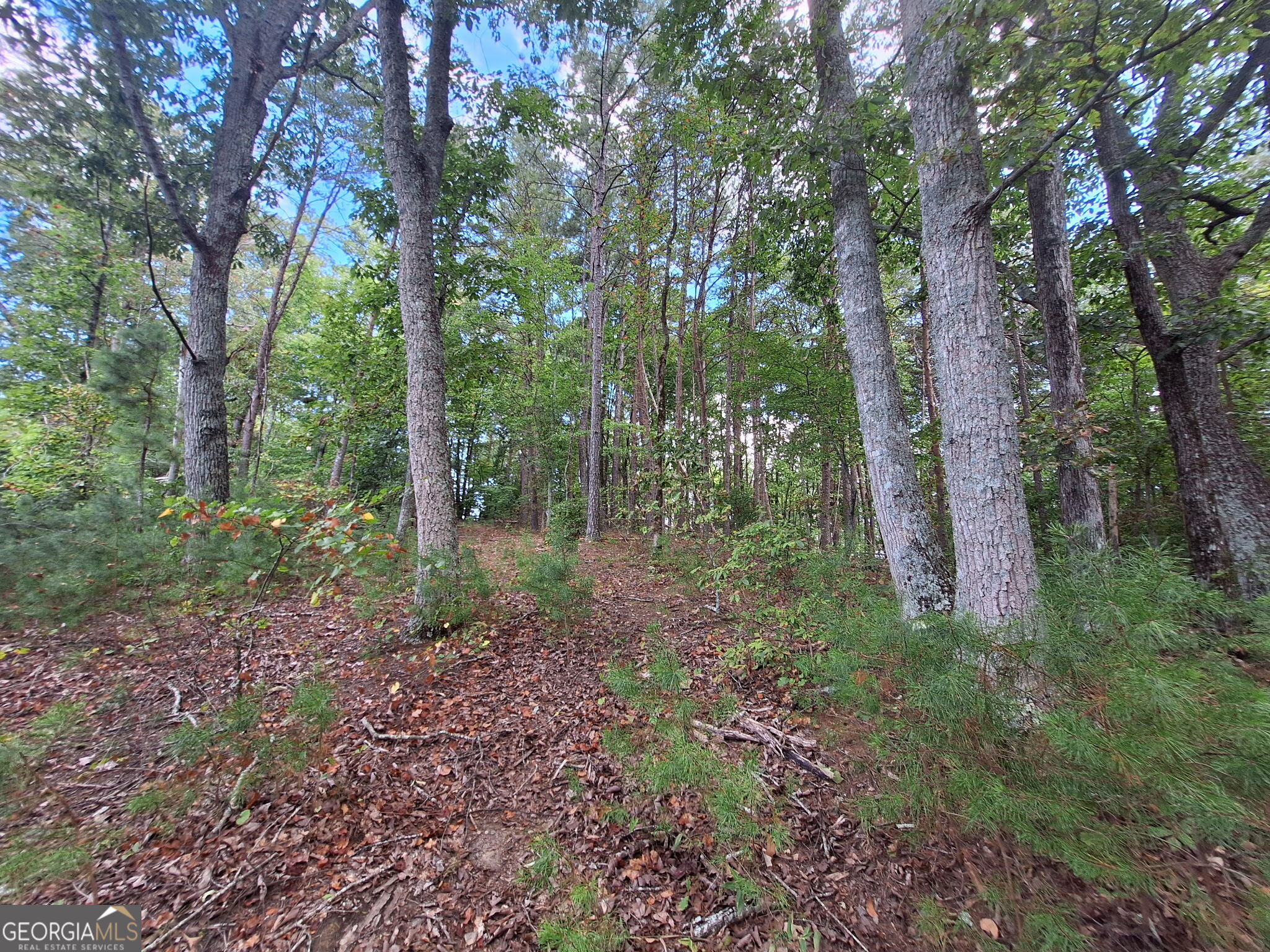0 Highland Tree Court Ranger, GA 30734 - Photo 13 of 16 Gallery Image 13