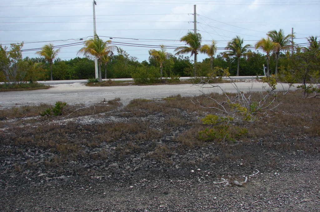 Trinidad Road Summerland Key, FL 33042 - Photo 1 of 6 Cleared & Ready to Build