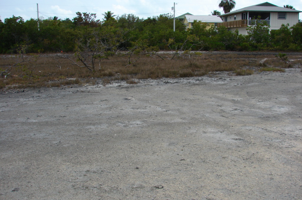 Trinidad Road Summerland Key, FL 33042 - Photo 6 of 6 Mangrove Shoreline