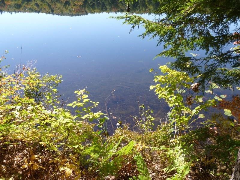 21 Bush Row Road Denmark, ME 04022 - Photo 5 of 14 Photo