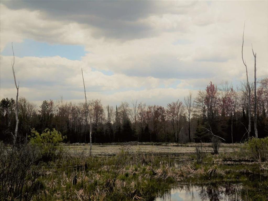 11325 Cedar Road Lake, MI 48632 - Photo 21 of 24 50042045-42