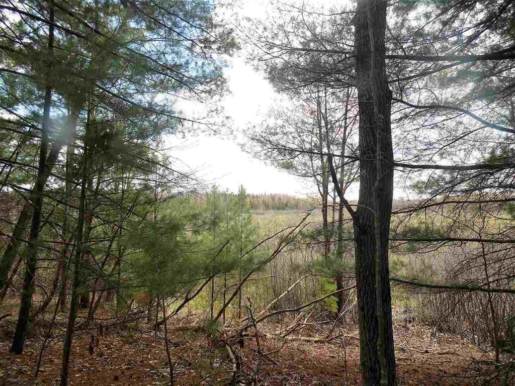 11325 Cedar Road Lake, MI 48632 - Photo 24 of 24 50042045-46
