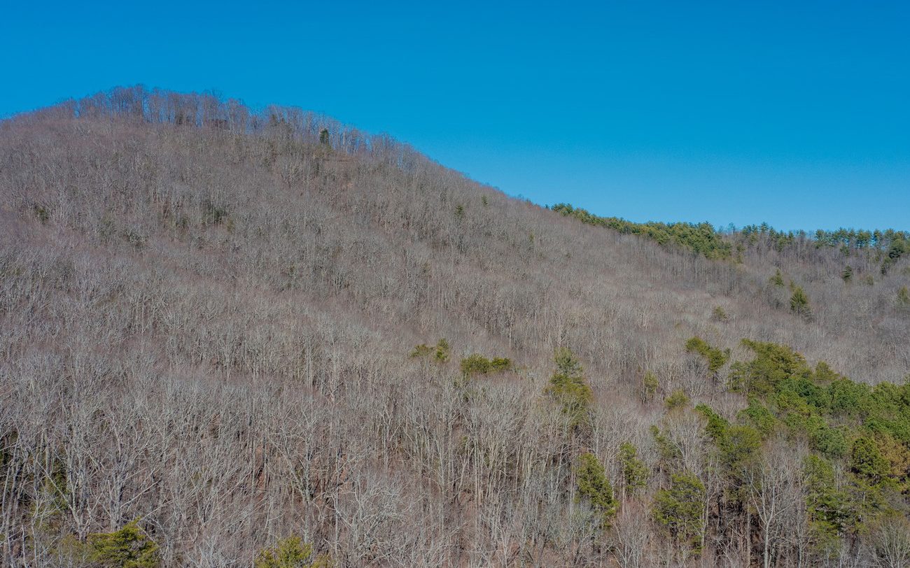 9162 Doublehead Gap Road Blue Ridge, GA 30513 - Photo 61 of 64 Additional View