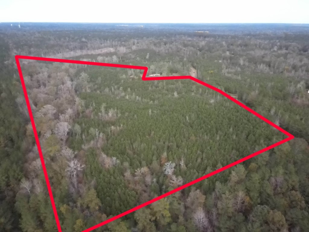 2191 Spitchley Road Hazlehurst, MS 39083 - Photo 11 of 18 Photo 11
