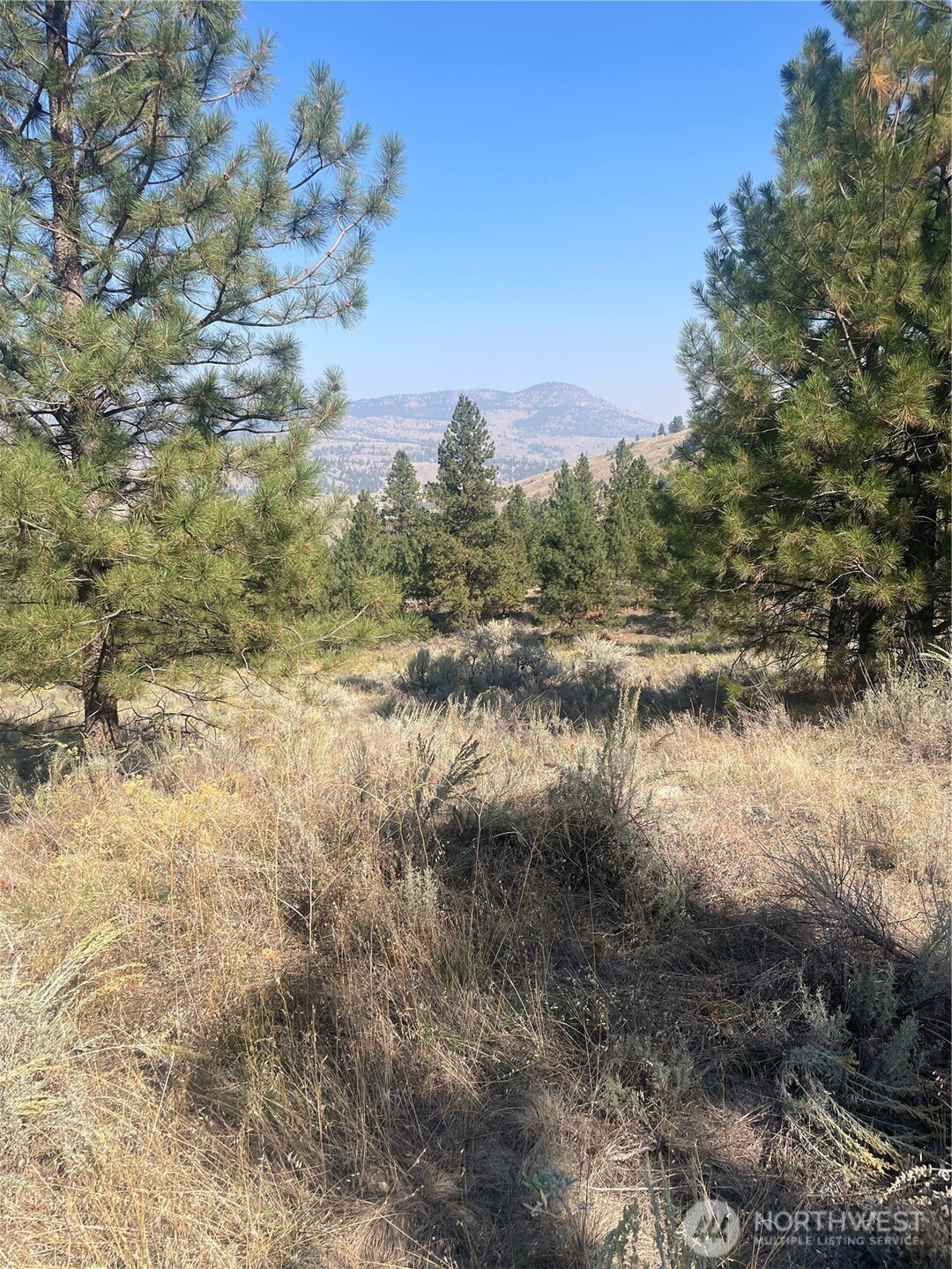 -tbd Reevas Basin Road Tonasket, WA 98855 - Photo 30 of 38