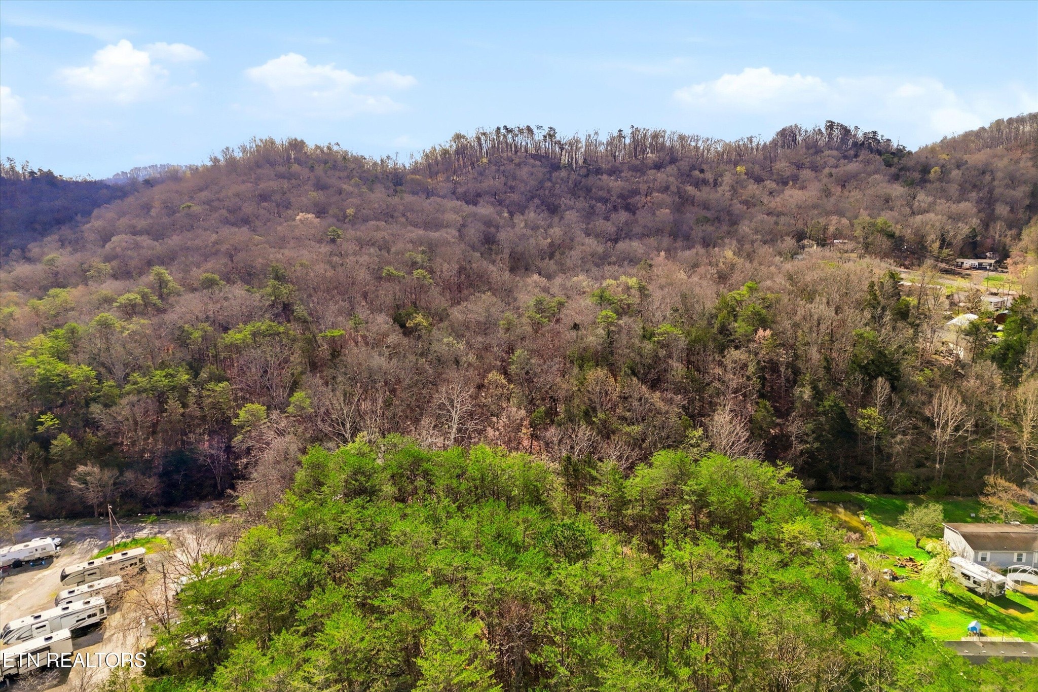 842 East Raccoon Valley Drive Heiskell, TN 37754 - Photo 14 of 17 a view of a bunch of trees and bushes