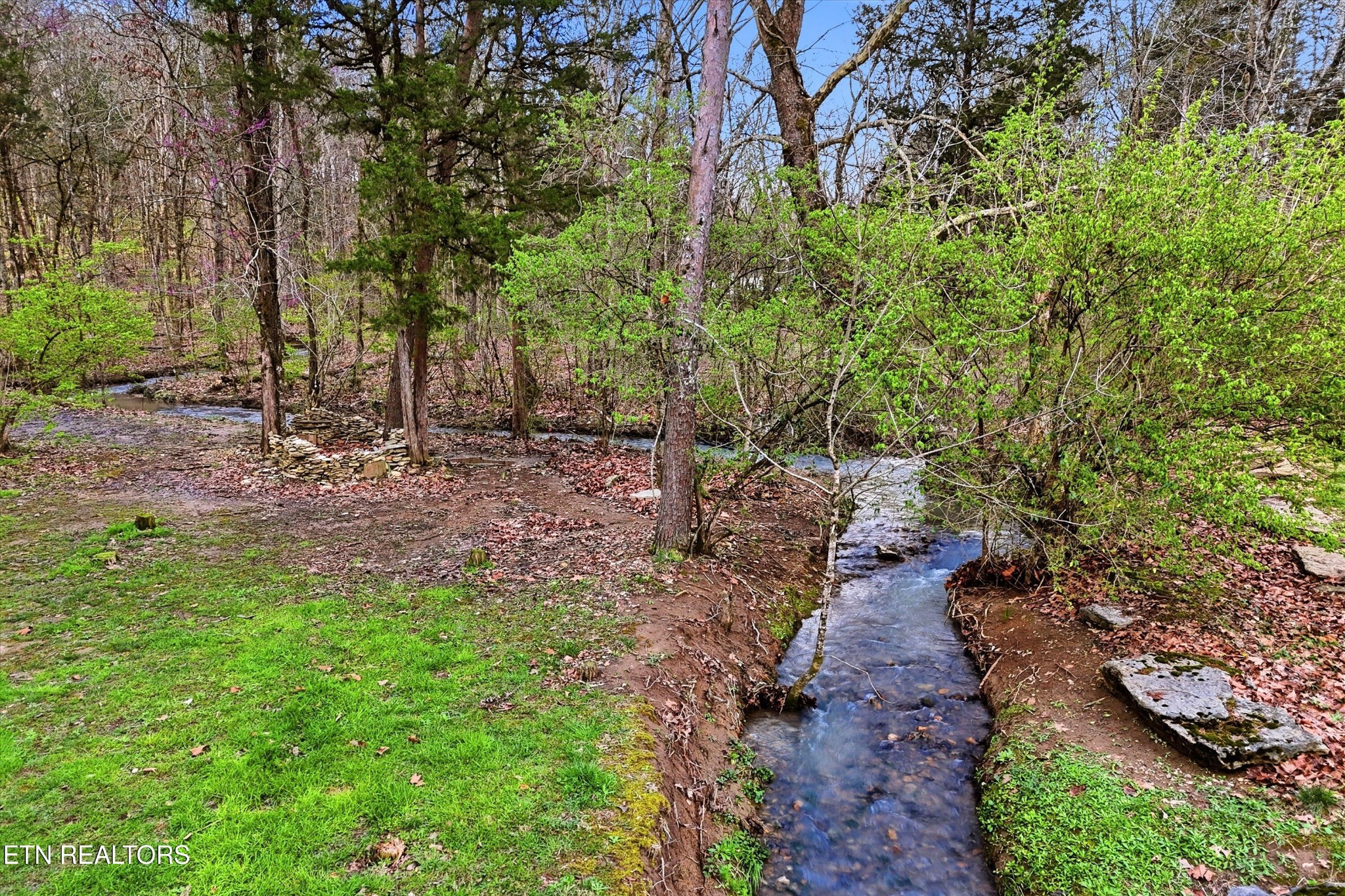 842 East Raccoon Valley Drive Heiskell, TN 37754 - Photo 3 of 17 a backyard of a house with lots of green space