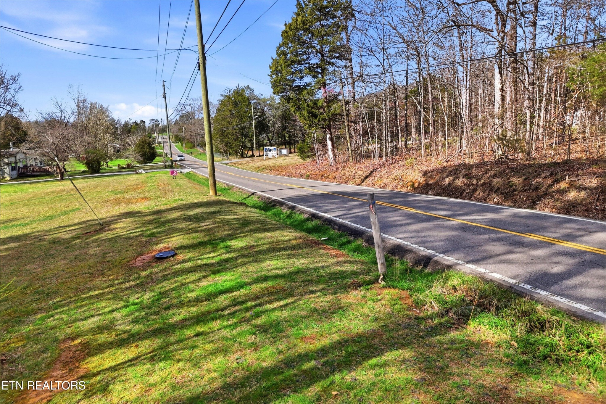 842 East Raccoon Valley Drive Heiskell, TN 37754 - Photo 6 of 17 a view of a yard with palm tree