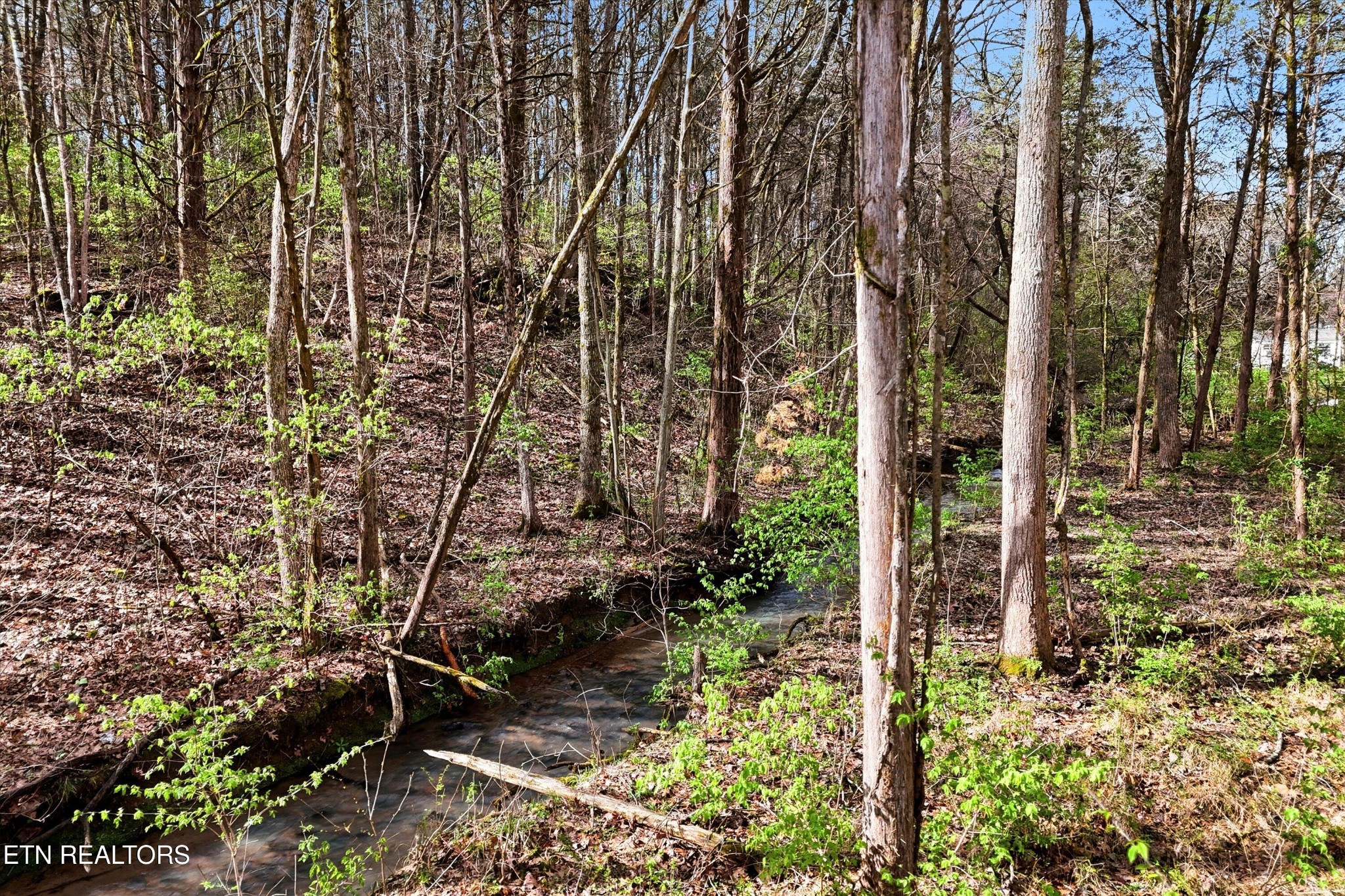 842 East Raccoon Valley Drive Heiskell, TN 37754 - Photo 7 of 17 a backyard of a house with a yard and outdoor seating