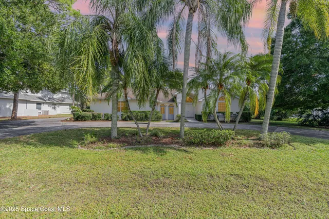 a view of a garden with palm trees