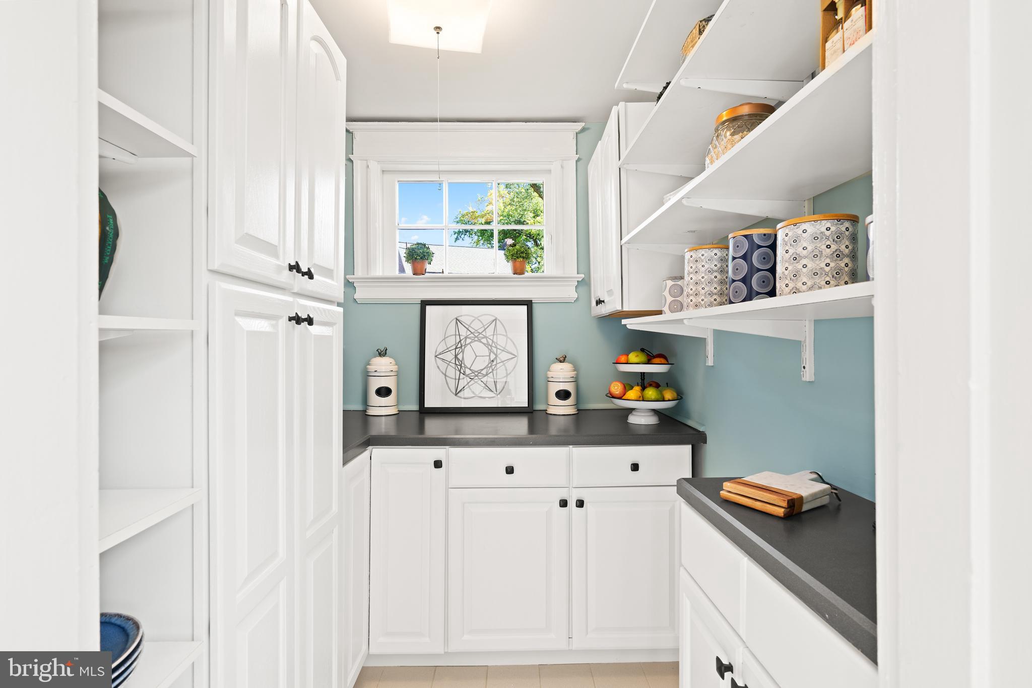2008 Glen Ross Road Silver Spring, MD 20910 - Photo 18 of 47 TONS OF STORAGE IN PANTRY WITH CABINETS & SHELFS