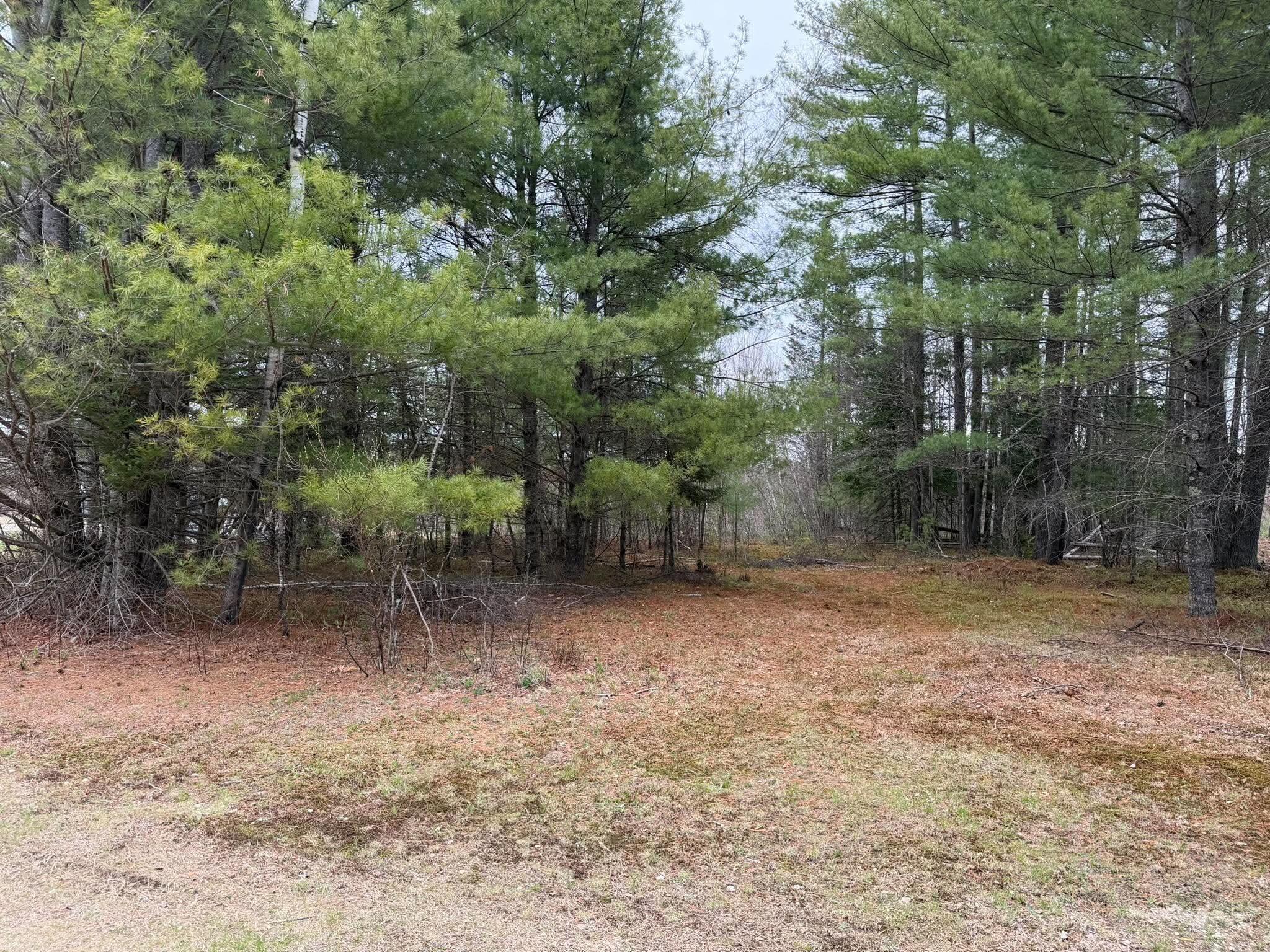 64 Coburn Road Carthage, ME 04224 - Photo 38 of 44