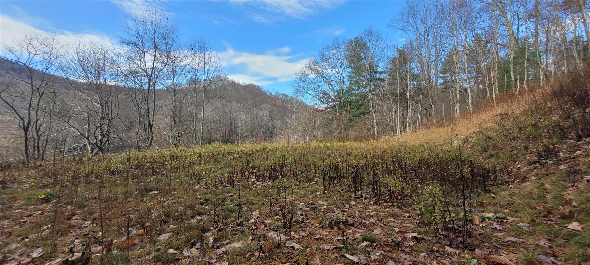 Tbd Mill Creek Road Todd, NC 28684 - Photo 3 of 8 Gallery Image 3