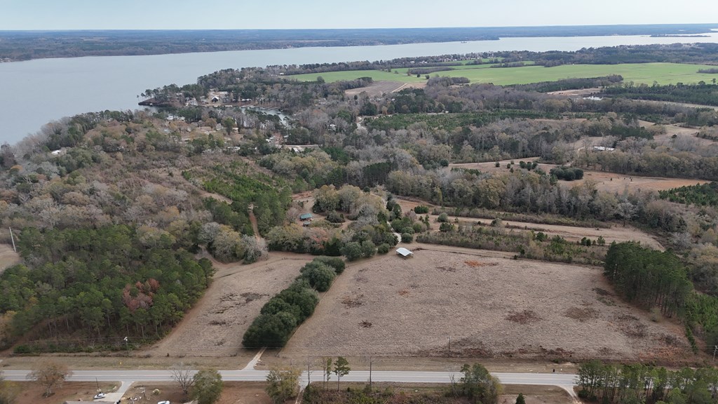 13962 Highway 95 Abbeville, AL 36310 - Photo 22 of 27