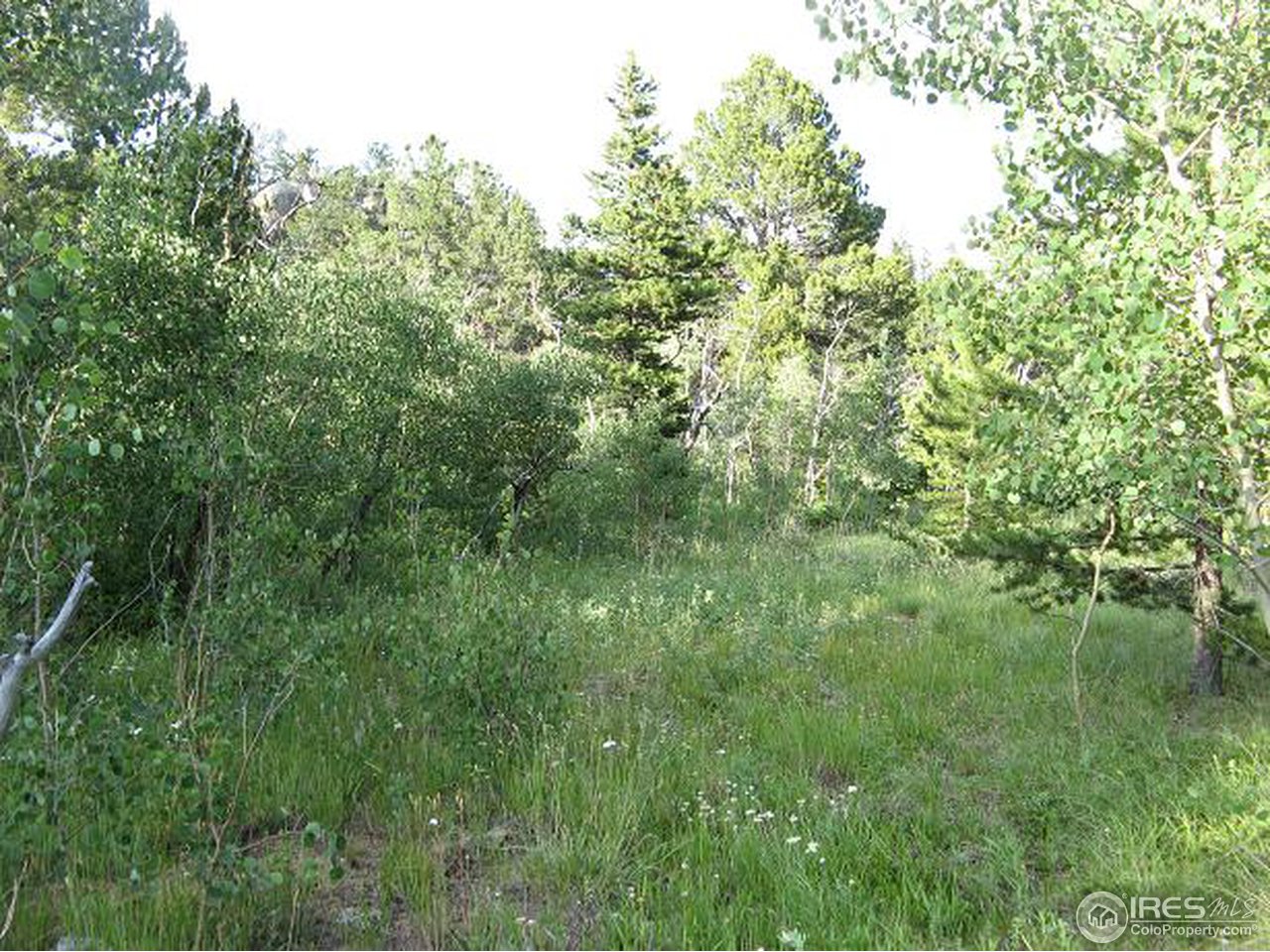 878 Crow Road Red Feather Lakes, CO 80545 - Photo 15 of 16 Property