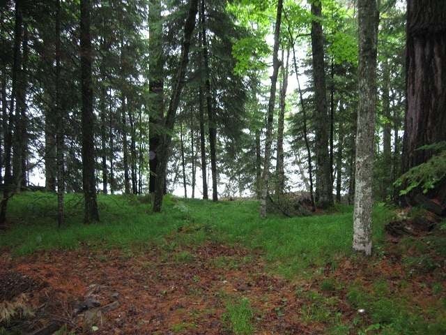 3410 Limber Lost Road Rhinelander, WI 54501 - Photo 3 of 20 Gallery Image 3
