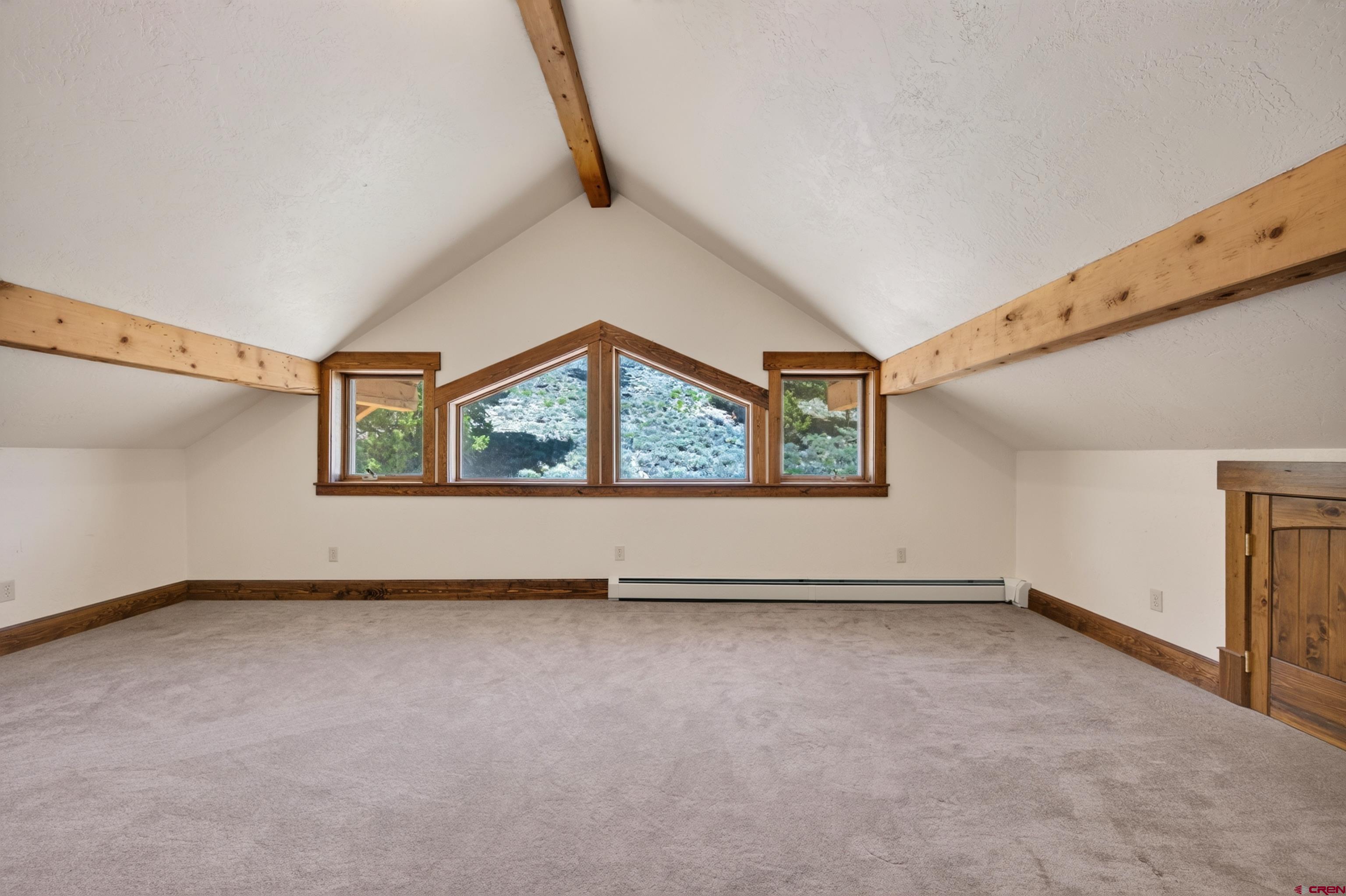 1560 Goose Creek Road Powderhorn, CO 81243 - Photo 21 of 39