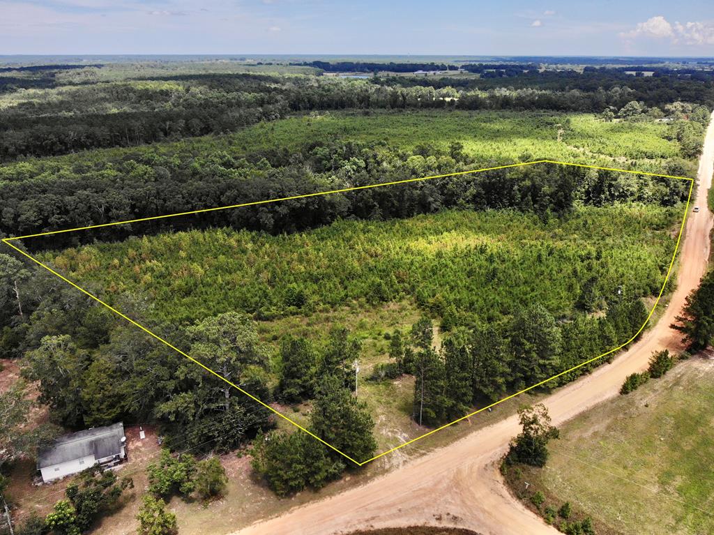 5-acres Old Elba Road Coffee Springs, AL 36318 - Photo 1 of 18