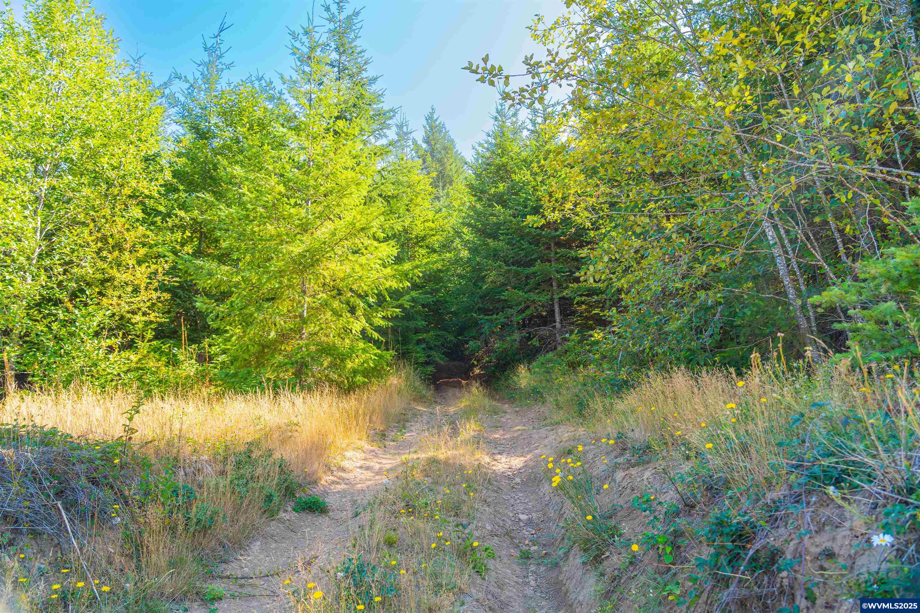 0 Bald Mountain Access Road Willamina, OR 97396 - Photo 25 of 30