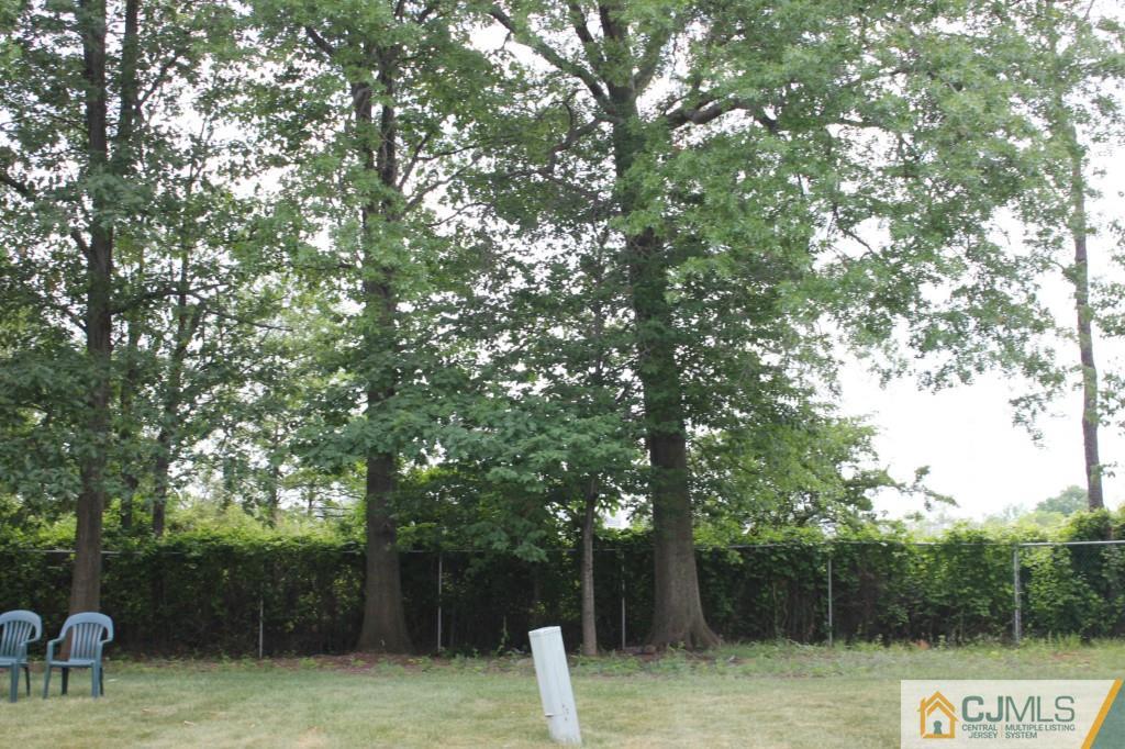 8007 Hana Road Edison, NJ 08817 - Photo 4 of 20 a backyard of a house with lots of trees