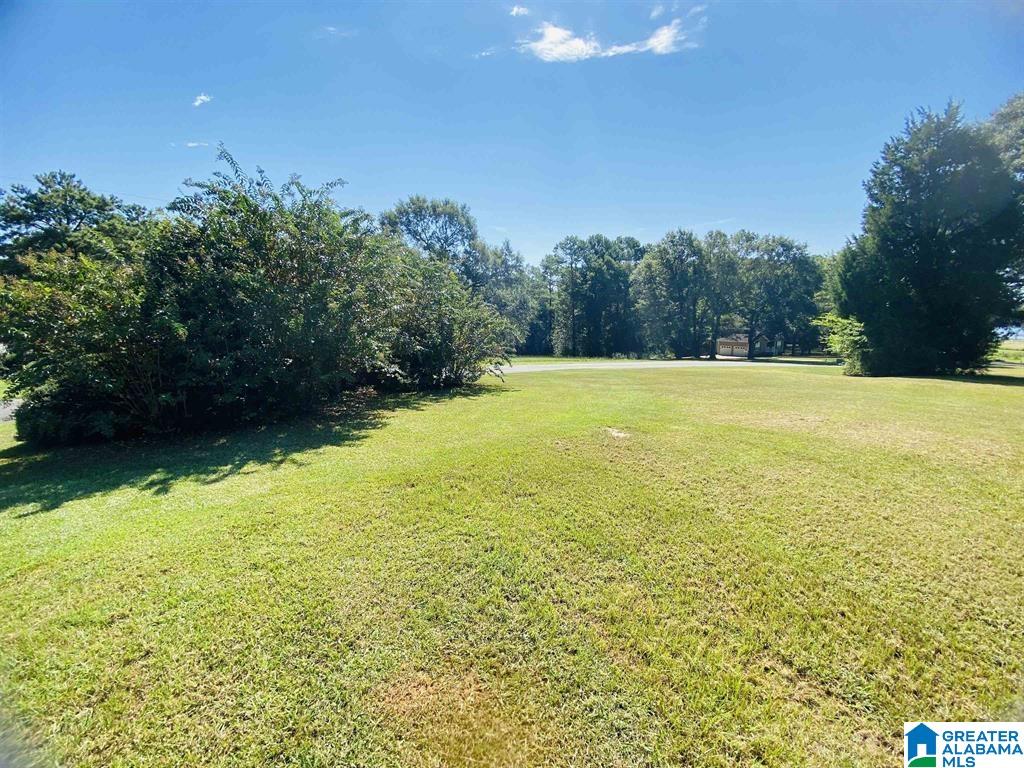 Carleton Point Lane, Unit 3 Wilsonville, AL 35186 - Photo 3 of 10