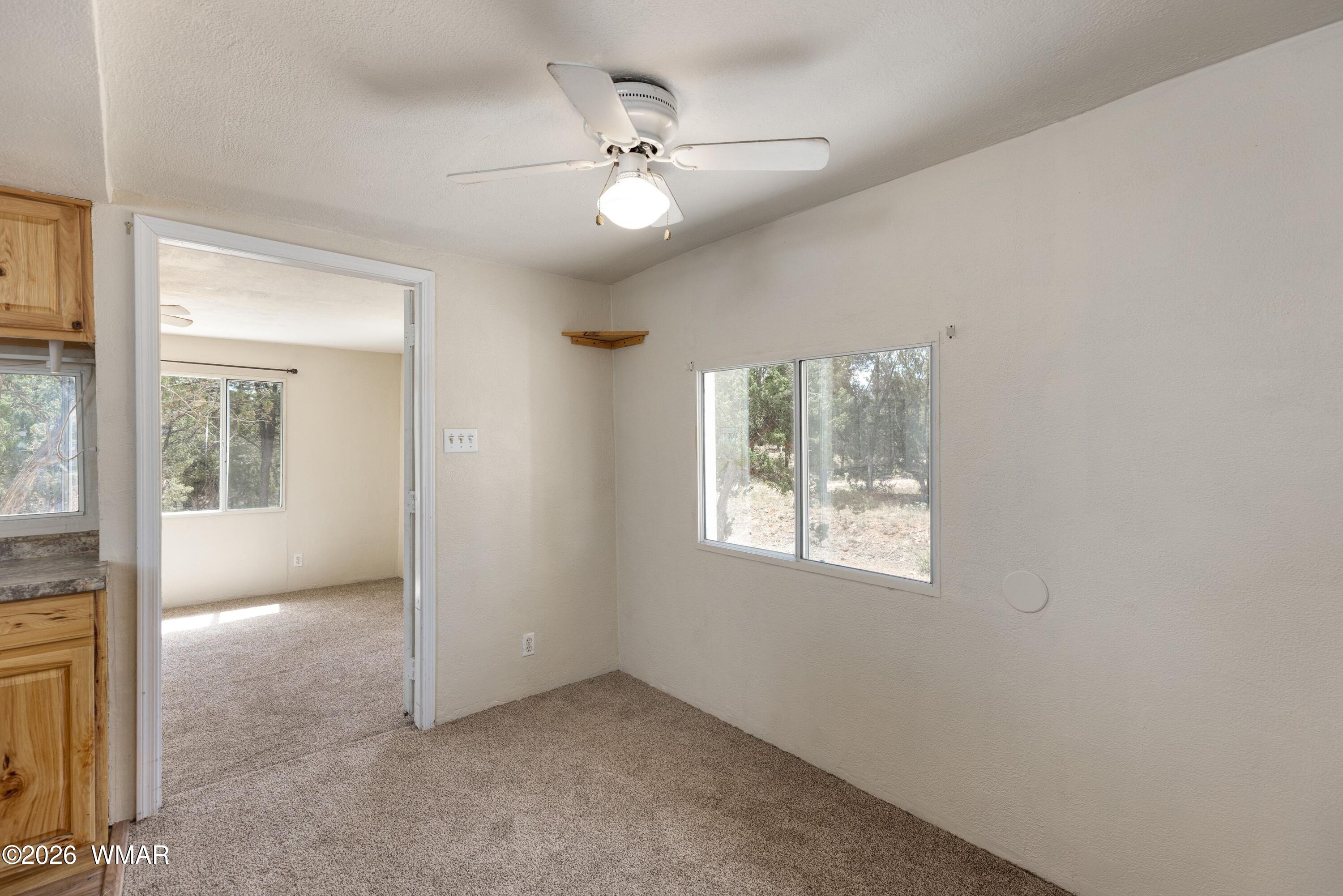 3611 Pine Rim Drive Overgaard, AZ 85933 - Photo 8 of 22