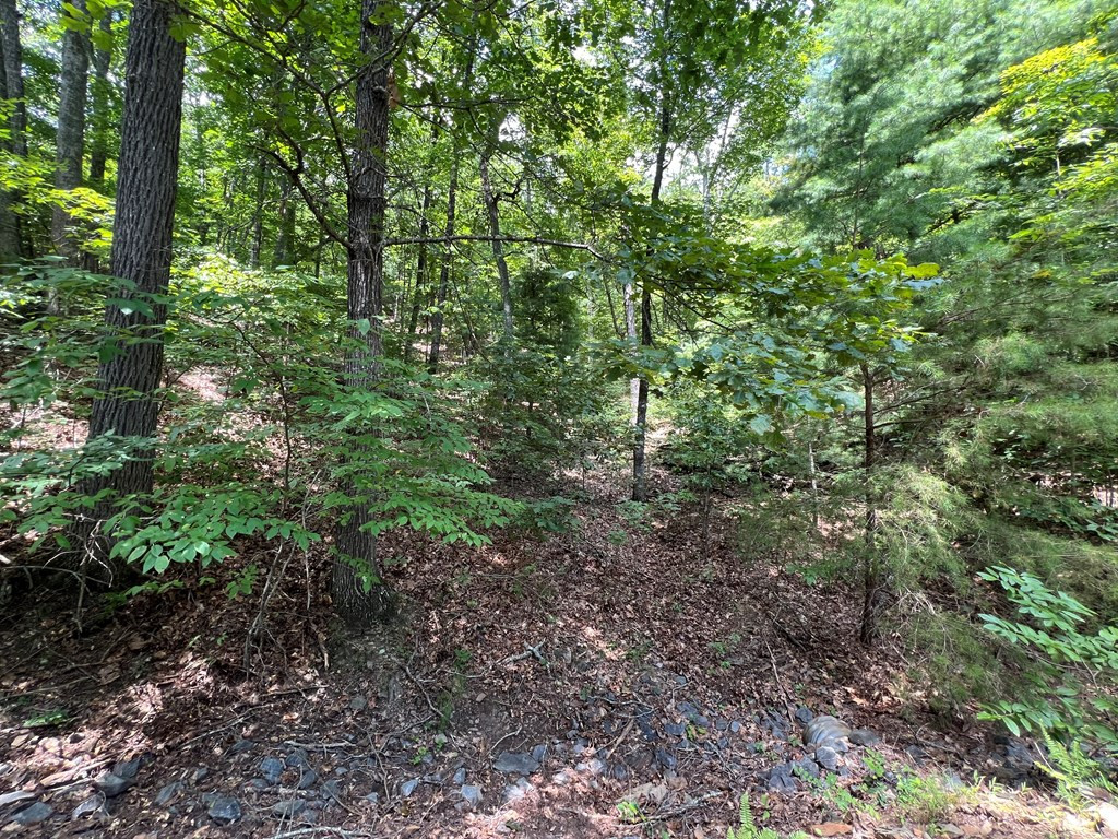 Lot 32 Mission Ridge Hayesville, NC 28904 - Photo 7 of 11