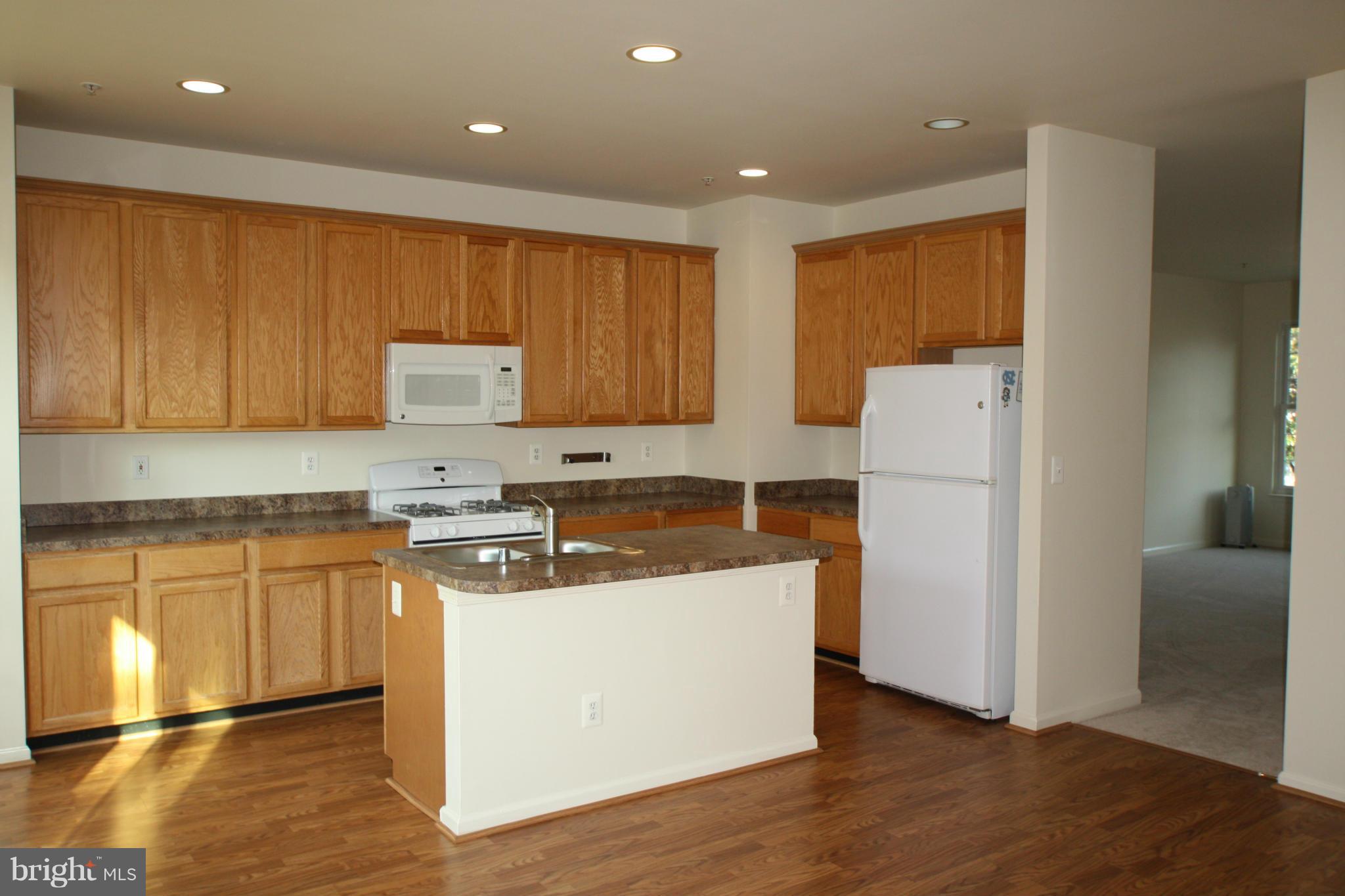 14302 Trillium Terrace Silver Spring, MD 20906 - Photo 5 of 20 Bright large Kitchen