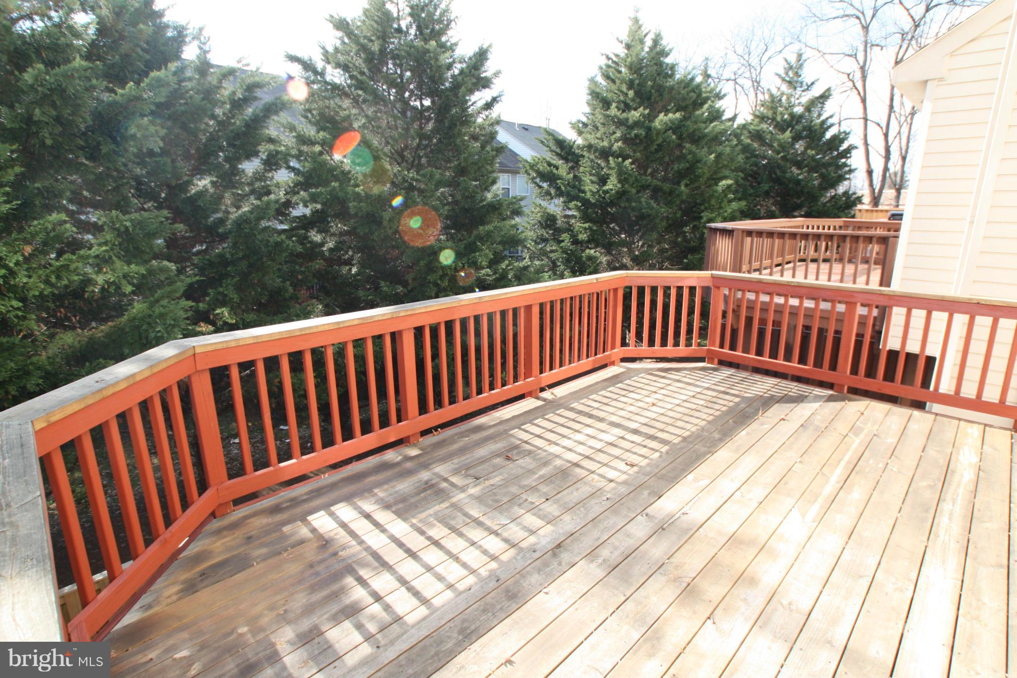14302 Trillium Terrace Silver Spring, MD 20906 - Photo 10 of 20 Deck 1