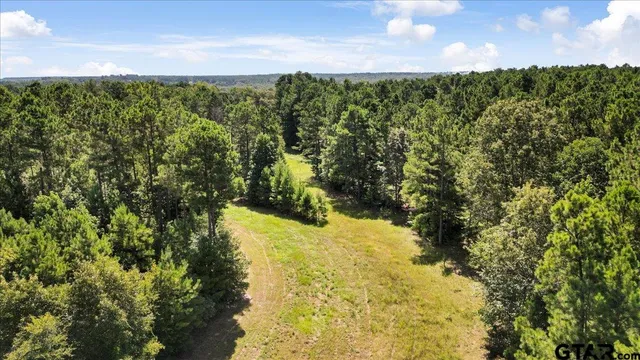 $320,000 | Tbd Tbd Sue Belle Road, Marshall, TX 75670