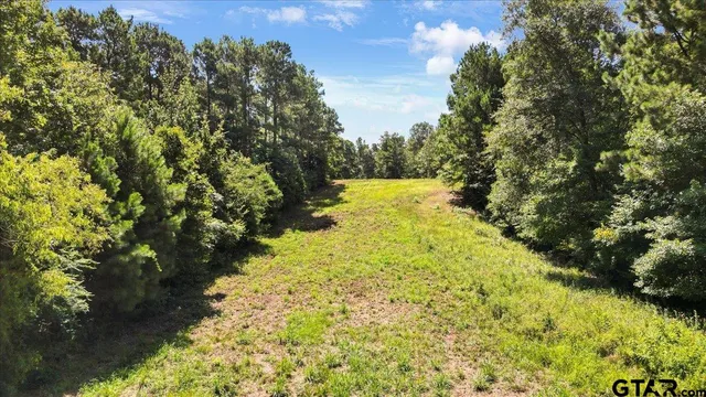 $320,000 | Tbd Tbd Sue Belle Road, Marshall, TX 75670