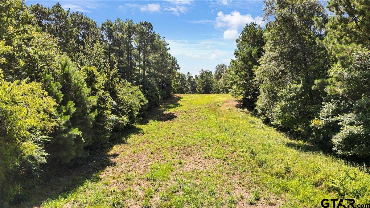 Tbd Tbd Sue Belle Road Marshall, TX 75670 - Photo 11 of 15 a view of a yard with swimming pool