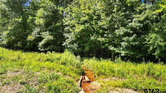 $320,000 | Tbd Tbd Sue Belle Road, Marshall, TX 75670