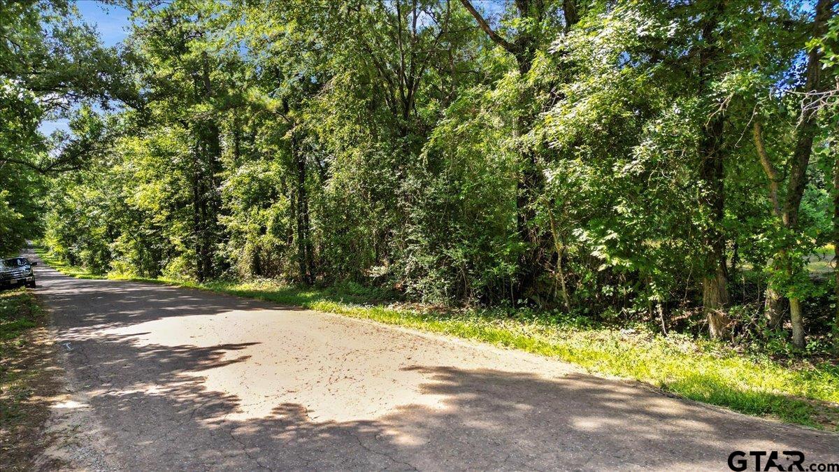 Tbd Tbd Sue Belle Road Marshall, TX 75670 - Photo 2 of 15 a view of a yard with plants and trees