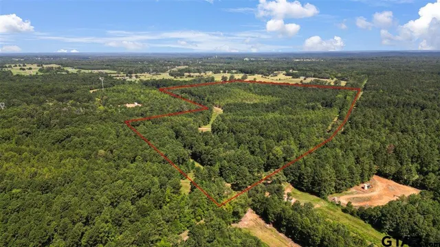 $320,000 | Tbd Tbd Sue Belle Road, Marshall, TX 75670