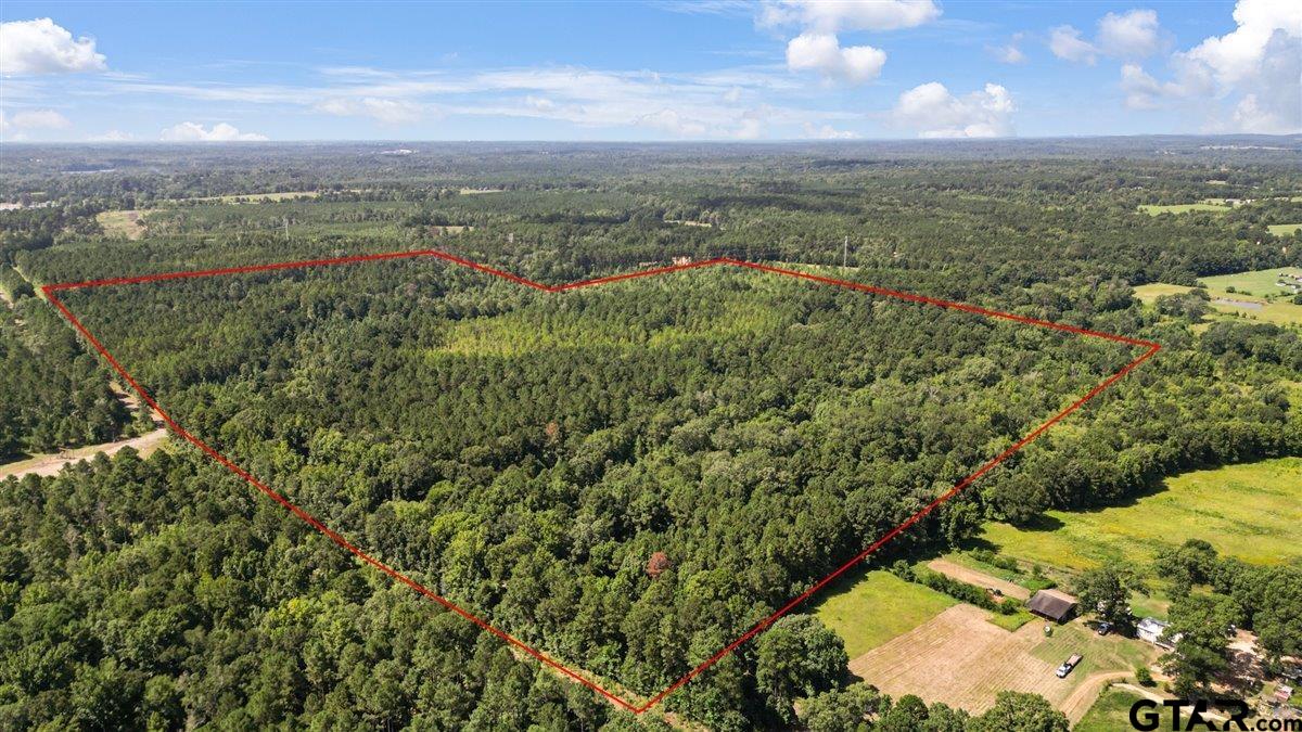 Tbd Tbd Sue Belle Road Marshall, TX 75670 - Photo 4 of 15 a view of a city with lush green forest