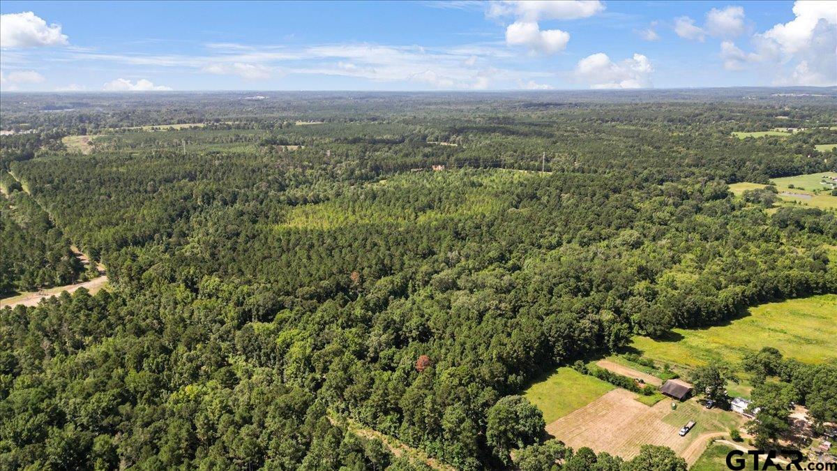Tbd Tbd Sue Belle Road Marshall, TX 75670 - Photo 5 of 15 a view of a city with lush green forest