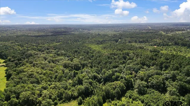 $320,000 | Tbd Tbd Sue Belle Road, Marshall, TX 75670