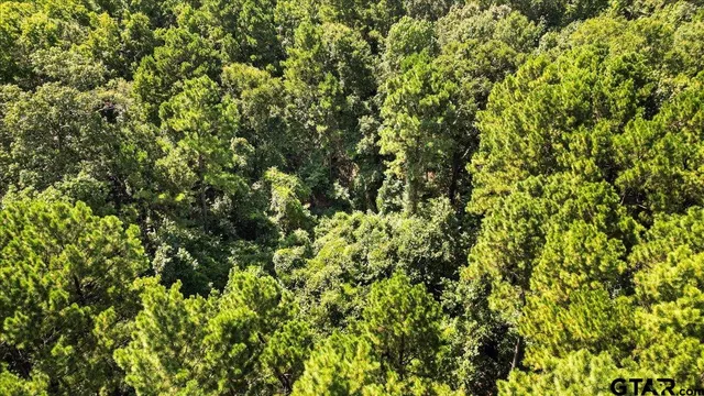 $320,000 | Tbd Tbd Sue Belle Road, Marshall, TX 75670