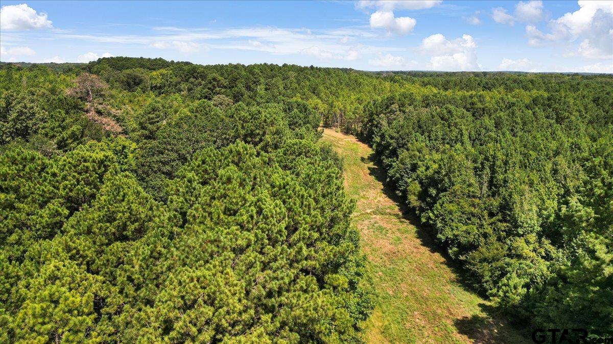 Tbd Tbd Sue Belle Road Marshall, TX 75670 - Photo 8 of 15 a view of a city with lush green forest