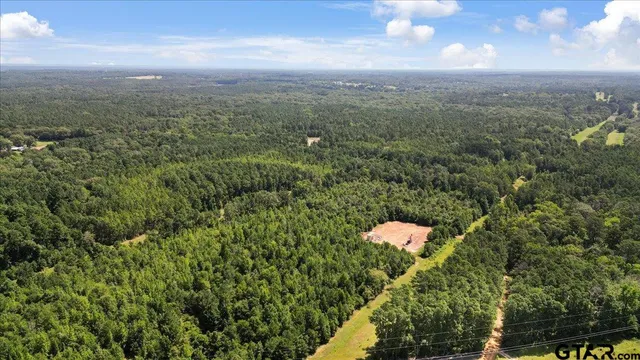$320,000 | Tbd Tbd Sue Belle Road, Marshall, TX 75670