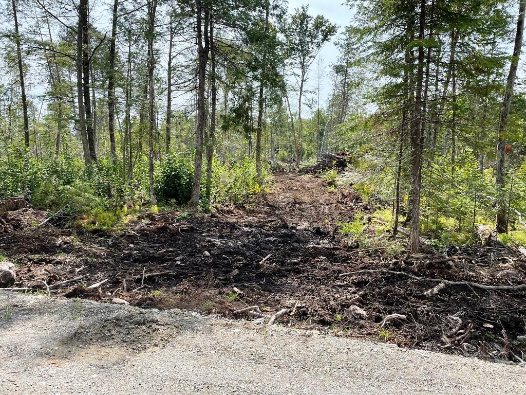 Lot 10 Hammond Brook Road Monson, ME 04464 - Photo 2 of 9 IMG_8561