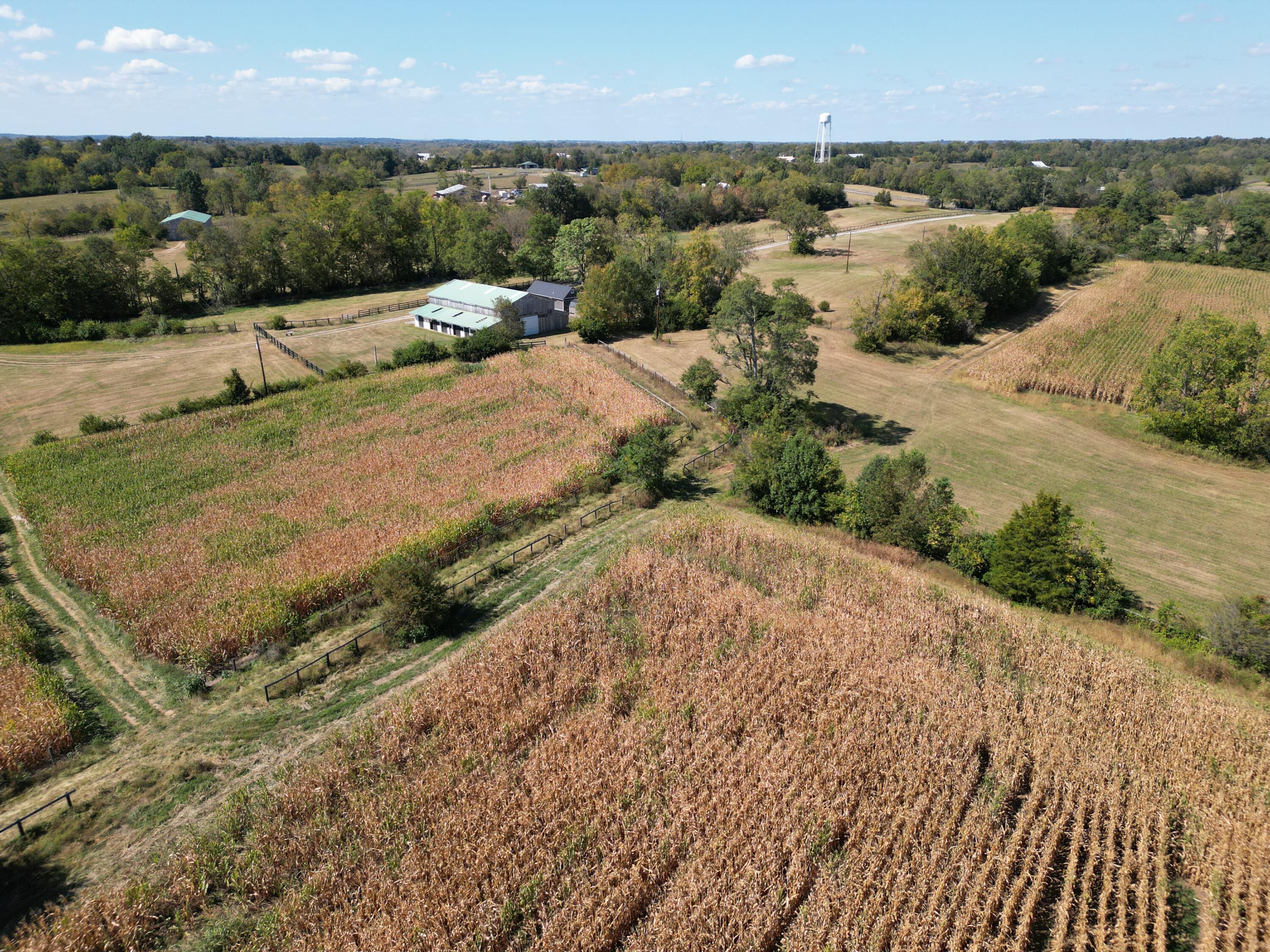 605 Delaney Ferry Road Versailles, KY 40383 - Photo 11 of 36 DJI_0118