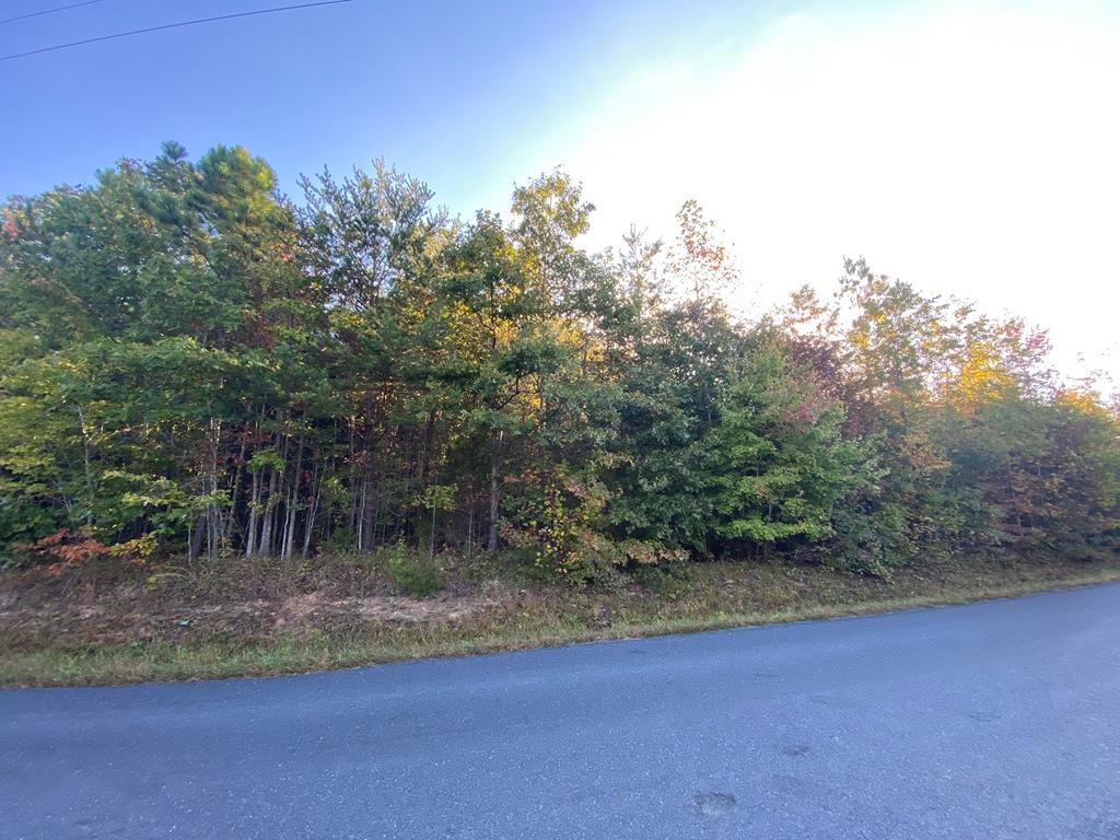 0 Asal Road Farmville, VA 23901 - Photo 1 of 48 Gallery Image 1
