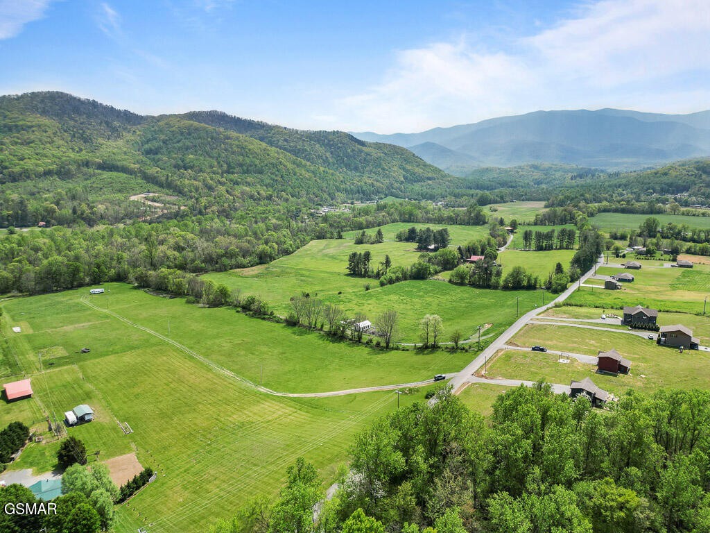 3858 Holders Grove Road Cosby, TN 37722 - Photo 3 of 19 a view of a golf course with a garden