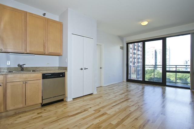 1 East 8th Street, Unit 802 Chicago, IL 60605 - Photo 5 of 12 a view of a kitchen with a sink and dishwasher with wooden floor