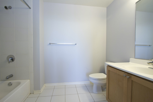 1 East 8th Street, Unit 802 Chicago, IL 60605 - Photo 7 of 12 a bathroom with a granite countertop toilet and a sink