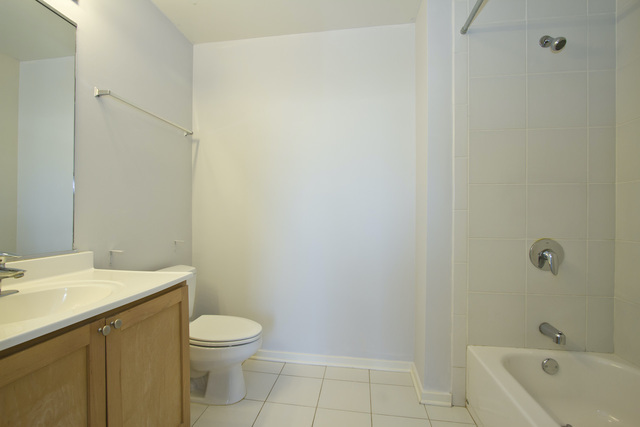 1 East 8th Street, Unit 802 Chicago, IL 60605 - Photo 9 of 12 a bathroom with a sink a toilet and shower