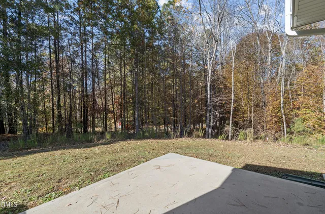 a view of a yard with trees