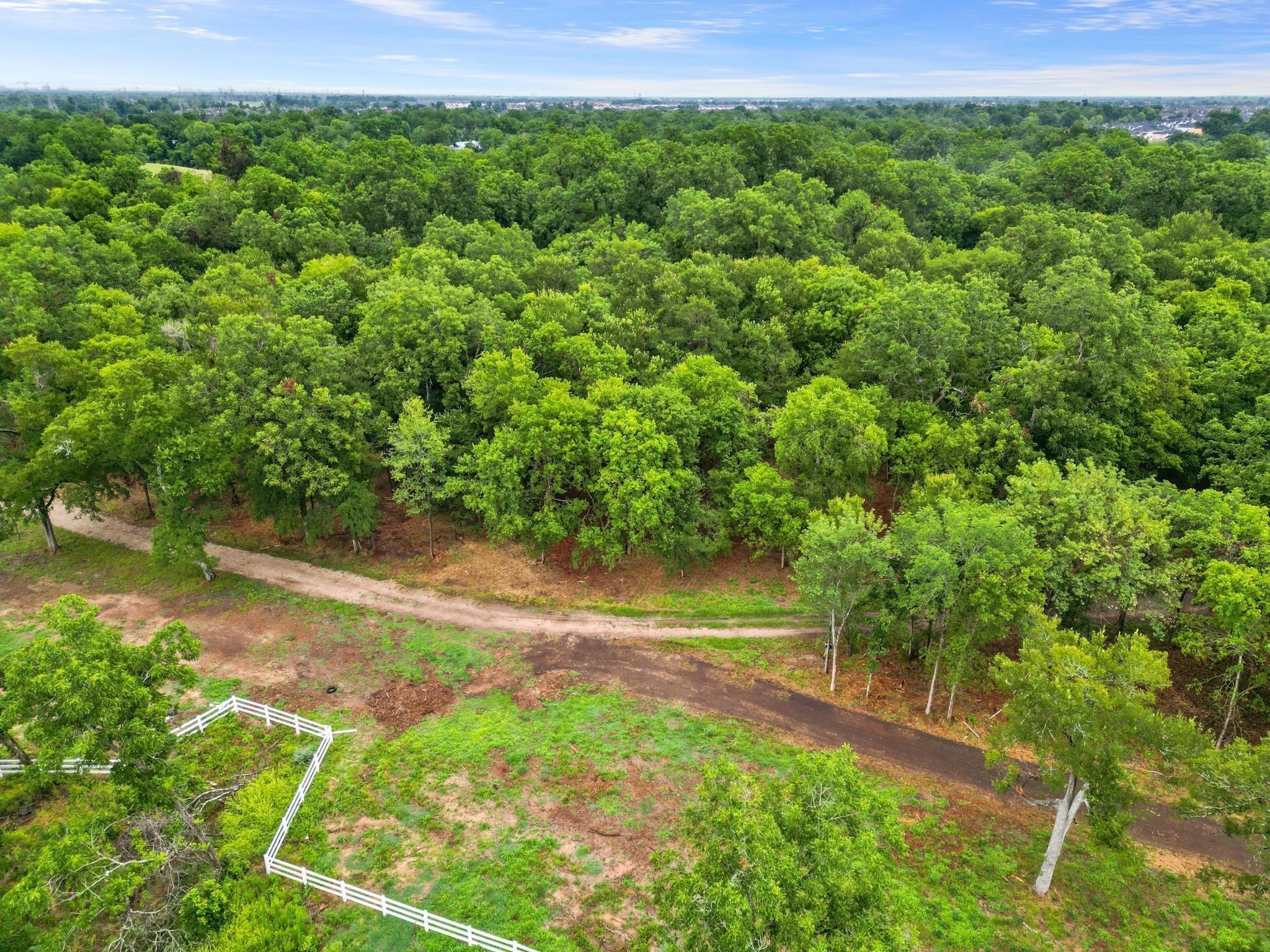 2120 Hagerson Road Sugar Land, TX 77479 - Photo 4 of 13 a view of a yard with plants and large trees